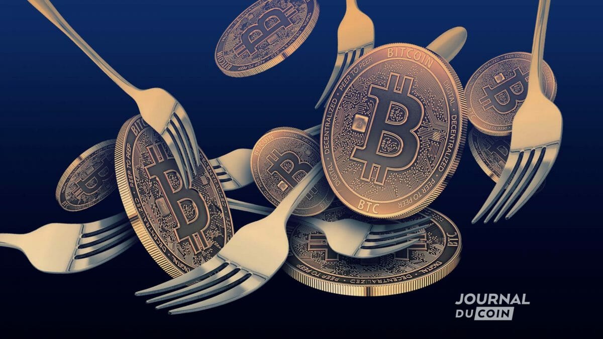 Fork-bitcoin-btc-branche-1