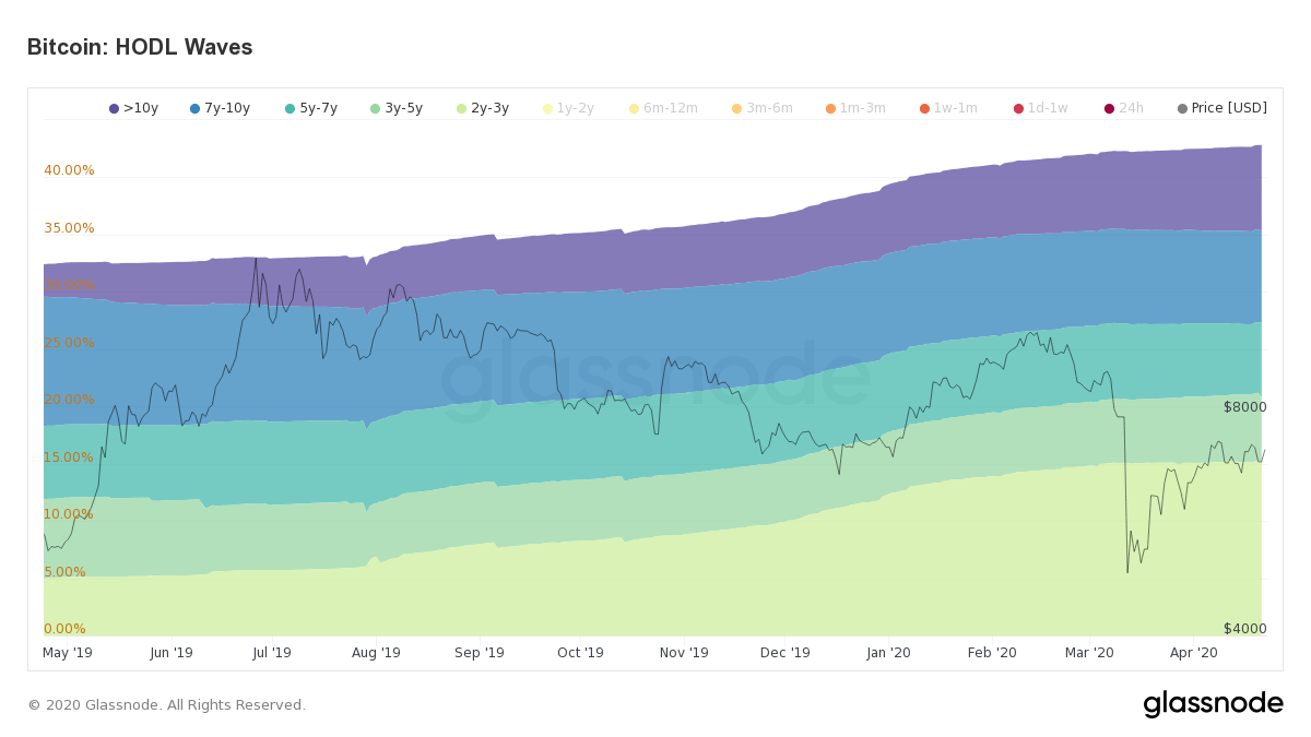 Bitcoin Holders