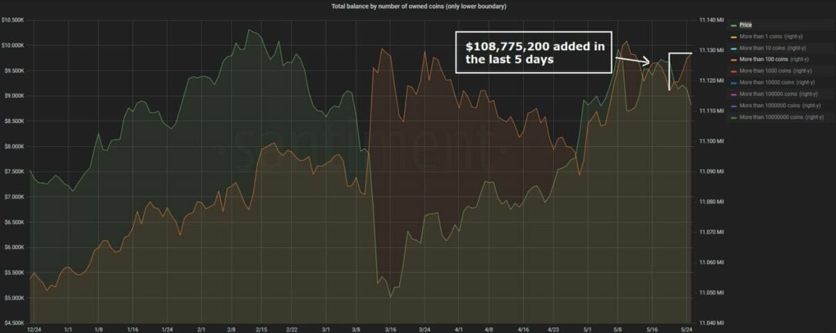 Bitcoin 100+ BTC accounts