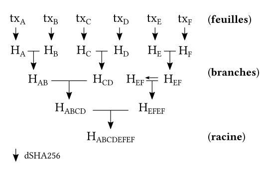 Bitcoin arbre de Merkle