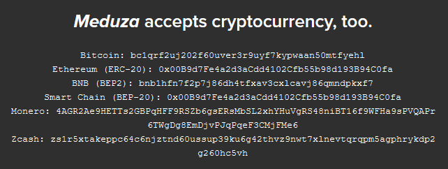 Meduza appelle au don en bitcoins et cryptomonnaies