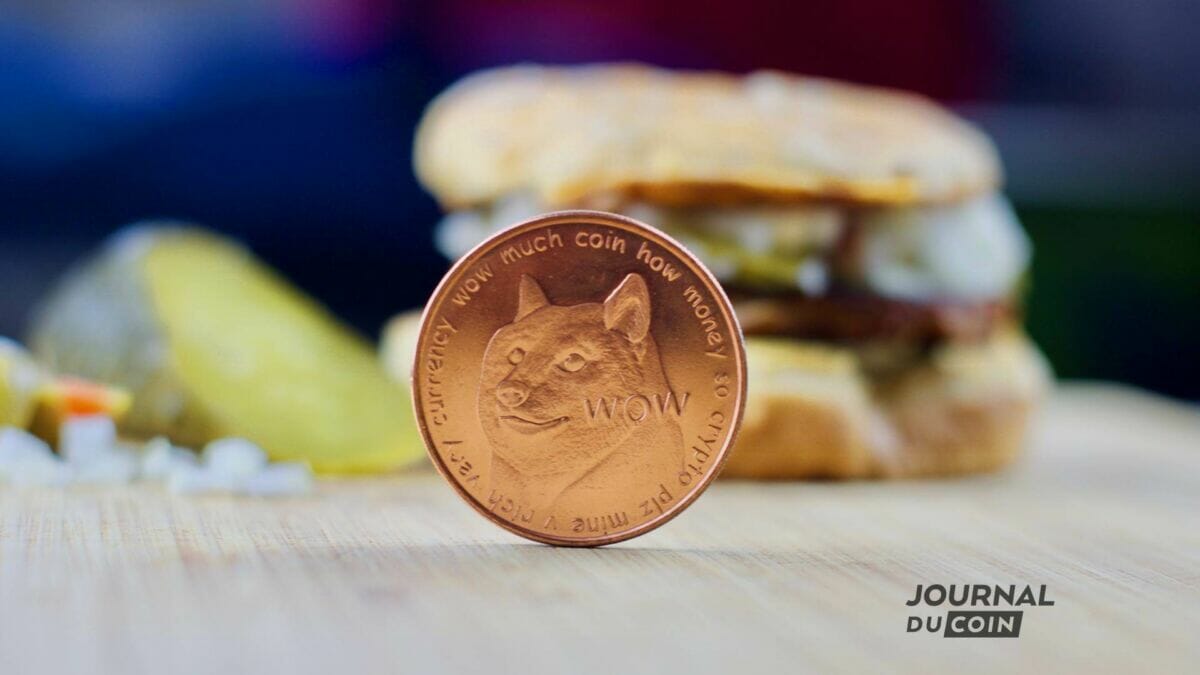 Dogecoin contre Dog-Burgers au Brésil, temps de chien pour la crypto -  Journal du Coin