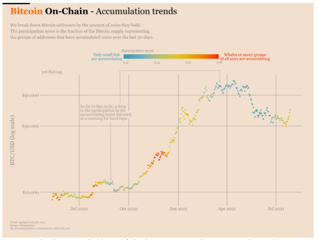 Les baleines et les petits portefeuilles ont continué à accumuler du Bitcoin lorsque son prix est passé des 30 000 $ aux 40 000 $, selon Ecoinometrics.