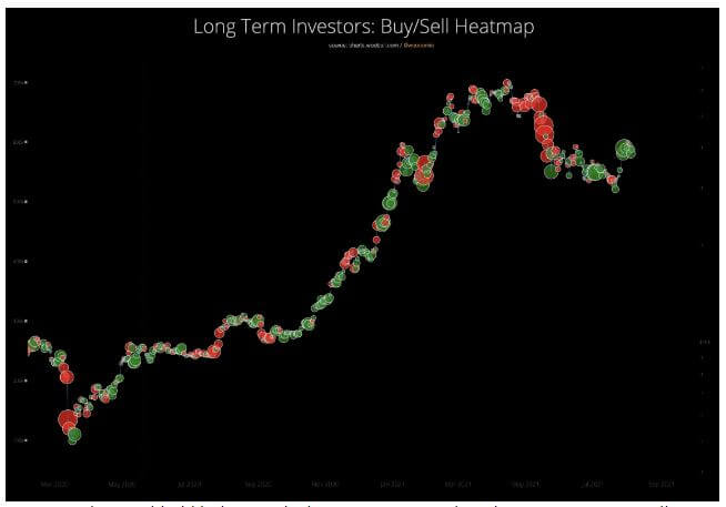 La carte des investisseurs conservant leurs Bitcoins sur une période relativement longue, prévoyait un franchissement des résistances aux 42 000 $.