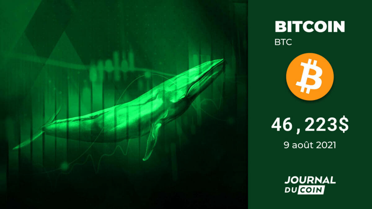 Cours de Bitcoin le 9 août 2021 - Le scénario des 175 000$ en 3 ricochets -  Journal du Coin
