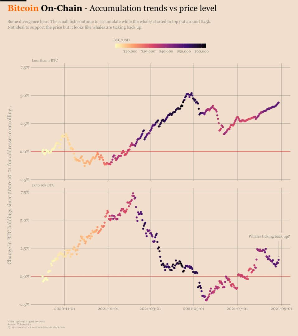 Les baleines et les petits portefeuilles BTC ont accumulé des Bitcoins ces derniers temps. Bientôt une hausse au-dessus des 50 000 $ ?