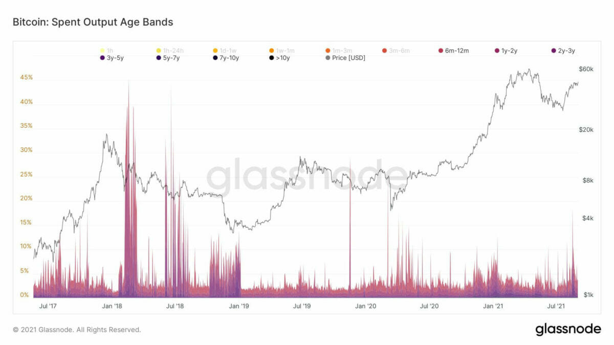 Les HODlers ne liquident pas leurs Bitcoins, invalidant les récits de rebond du chat mort.