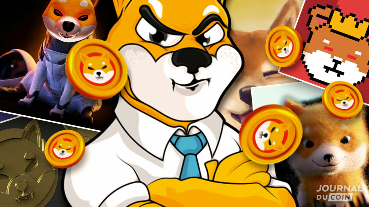 Crypto de niche : Les NFT Shiboshi affolent la communauté Shiba Inu -  Journal du Coin