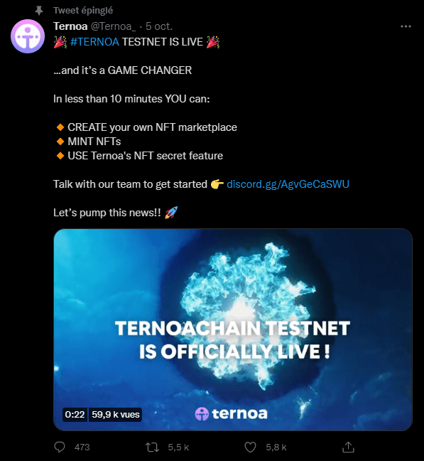 Ternoa est un protocole de capsule temporelle qui lance son testnet afin de présenter ses innovations dans le domaine des NFT