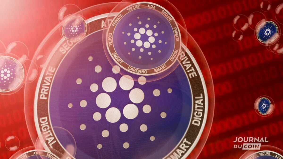 Ils tentent le coup du siècle avec Cardano (ADA), le fisc surgit - Journal  du Coin