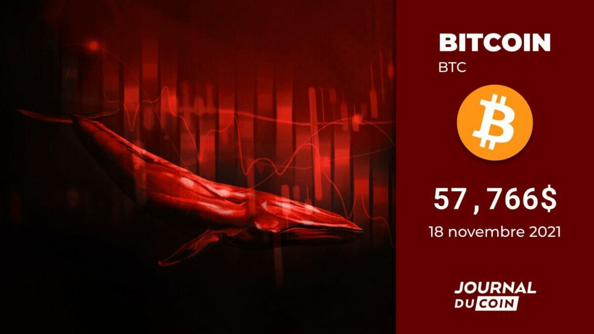 Bitcoin le 18 novembre 2021 - Douloureux Dollar - Journal du Coin