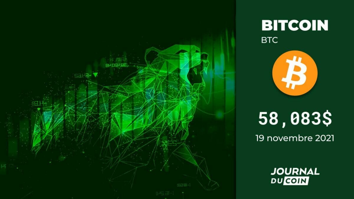 Bitcoin le 19 novembre 2021 - La balle aux baleines - Journal du Coin