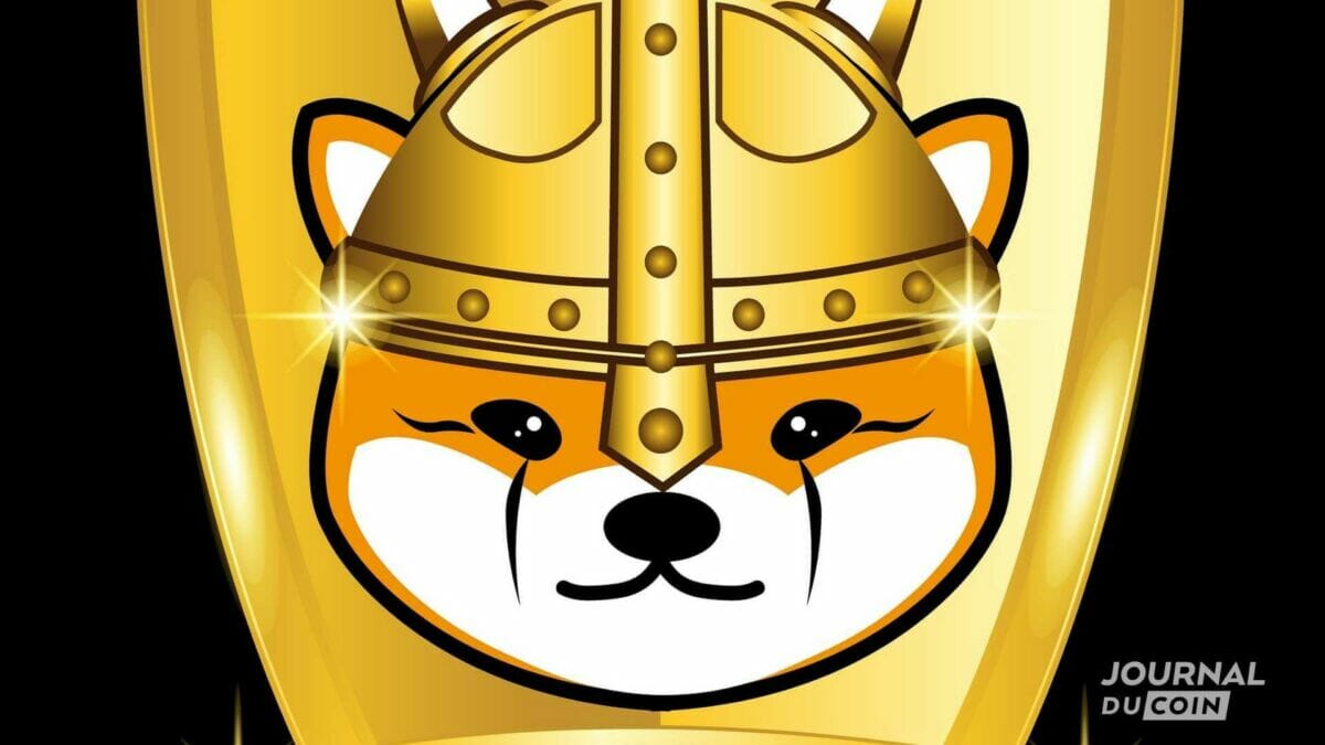 Floki Inu (FLOKI), le memecoin qui veut détrôner le DOGE et le SHIBA -  Journal du Coin