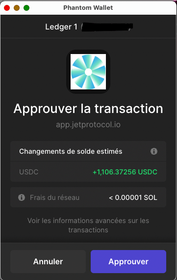 Approuvez la transaction de retrait des cryptomonnaies que vous empruntez 