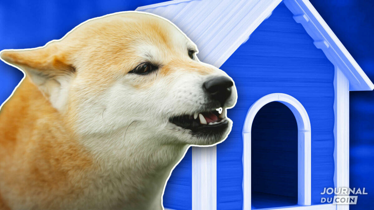 100 millions de $ de Shiba Inu en ballade - Vitalik récupère ses SHIB -  Journal du Coin