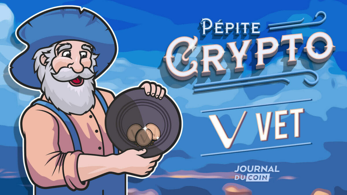 Pépite crypto : VeChain à la masse, à quand la fin de la chute pour le VET  ? - Journal du Coin