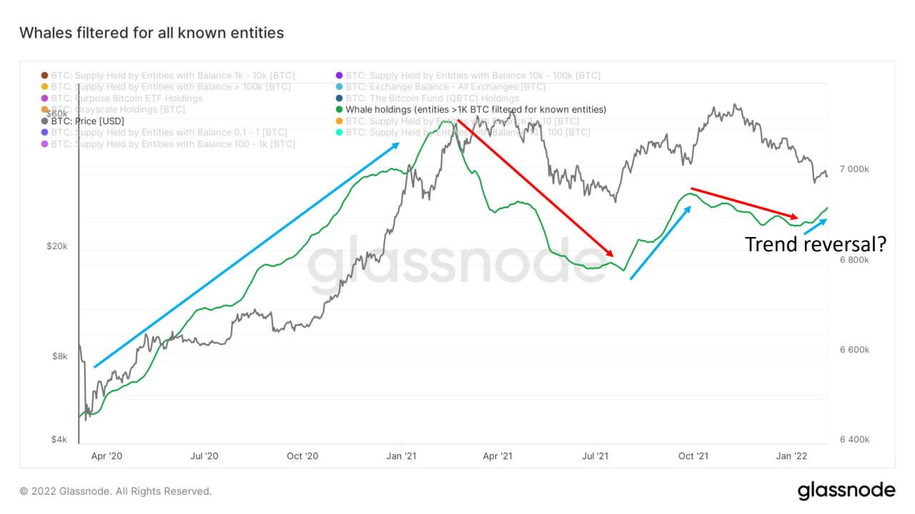 Les investissements en bitcoin (BTC) des baleines sur les deux ans.