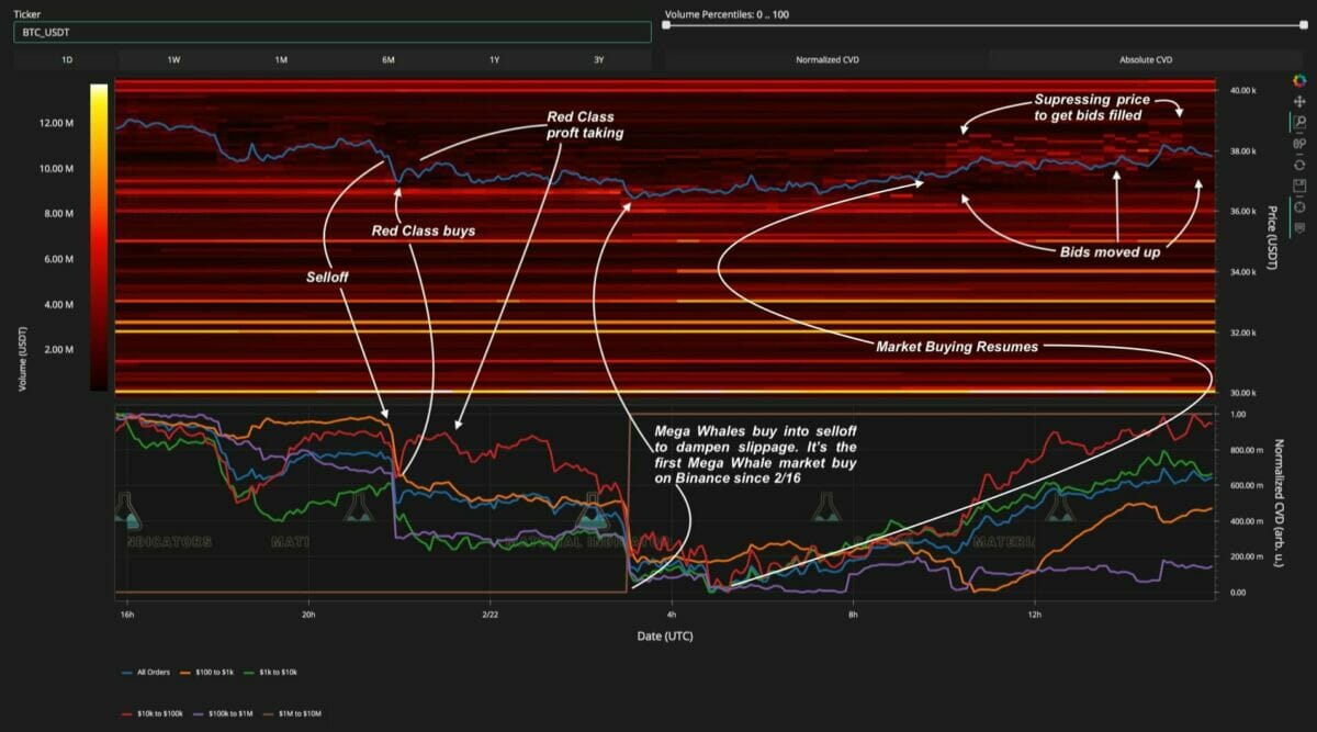 Augmentation des volumes de petits et gros achat de bitcoin (BTC)