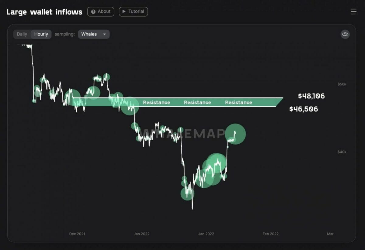 Résistance des baleines aux environs des 47 000 $ pour le cours du bitcoin