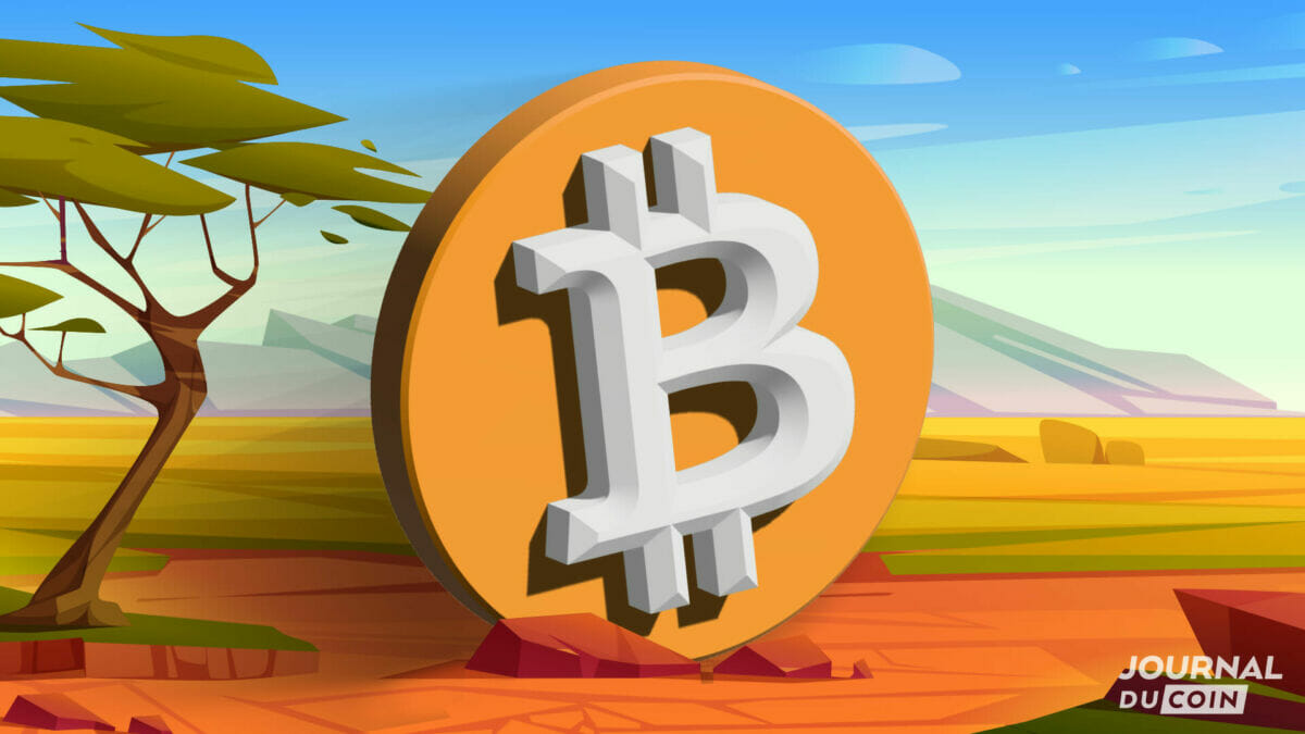 Bitcoin monnaie légale en Centrafrique : le pays veut tokeniser ses  ressources minières - Journal du Coin