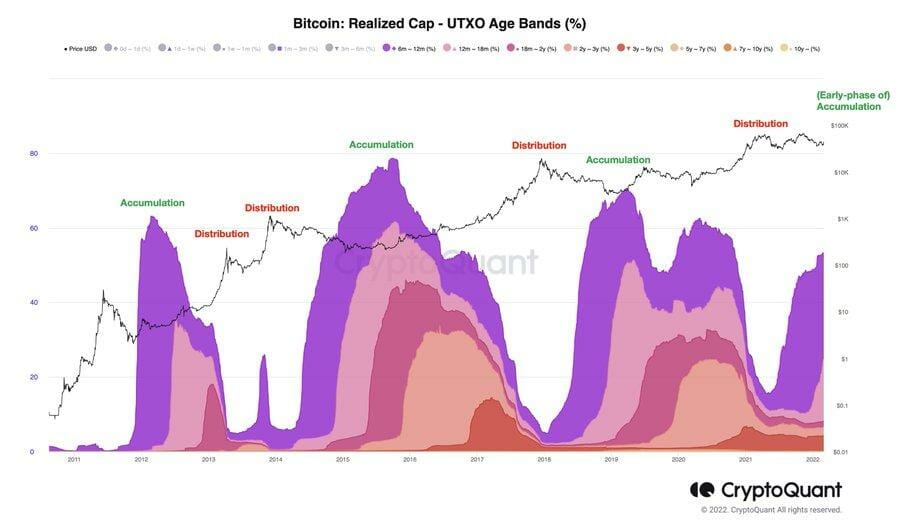 Les HODLers de bitcoins pullulent à nouveau.