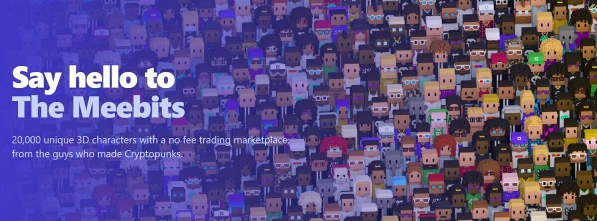 Aperçu des NFT Meebits, une collection de 20000 personnages en 3D