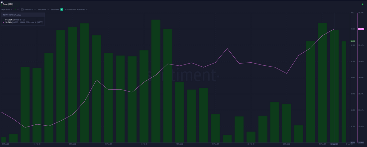 Graphique Santiment : augmentation du nombre de stablecoins détenus par les baleines.