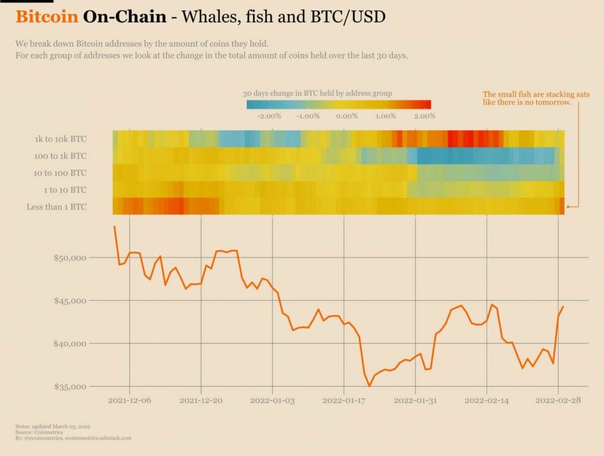 Accumulation de bitcoin par les petits portefeuilles