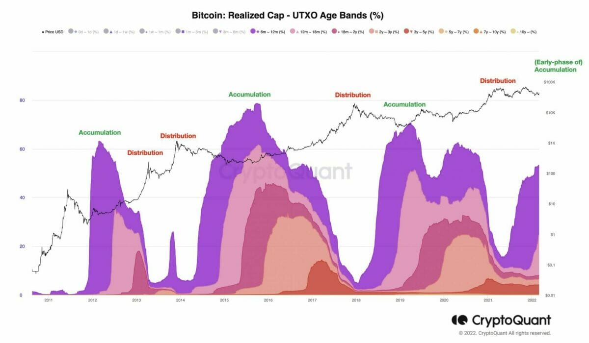 Les nouveaux bitcoiners d'il y a un an deviennent des détenteurs à long terme de bitcoin (BTC).