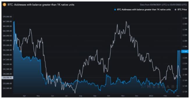 Les baleines continuent de conserver leurs bitcoins (BTC).