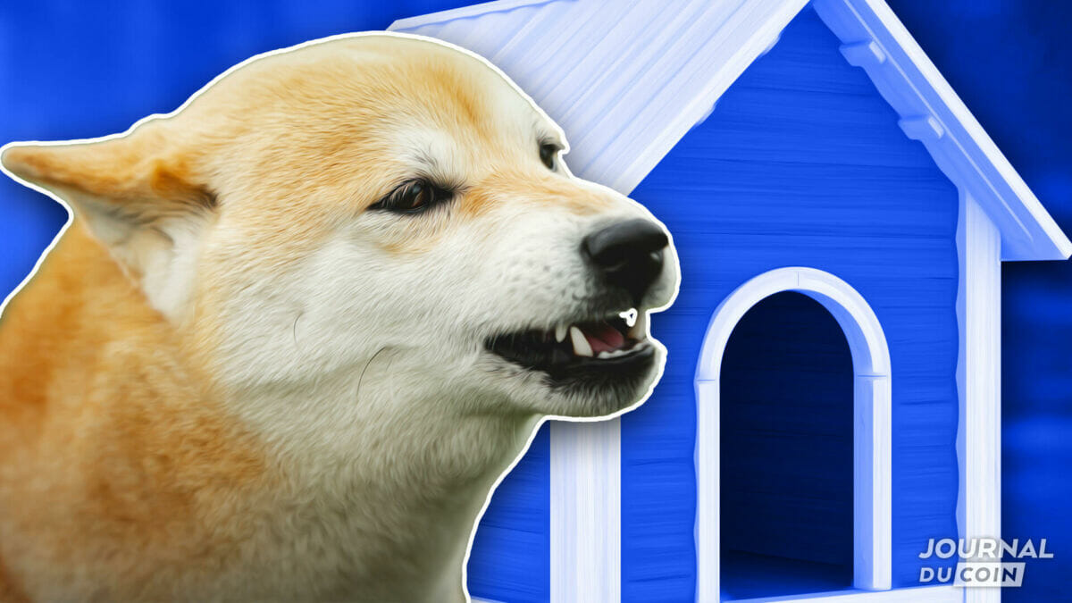 Shiba Inu (SHIB), chien de garde de la blockchain ? Le projet le plus  sécurisé selon Certik - Journal du Coin