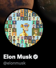 Elon Musk met des NFT du Bored Ape Yacht Club en photo de profil.