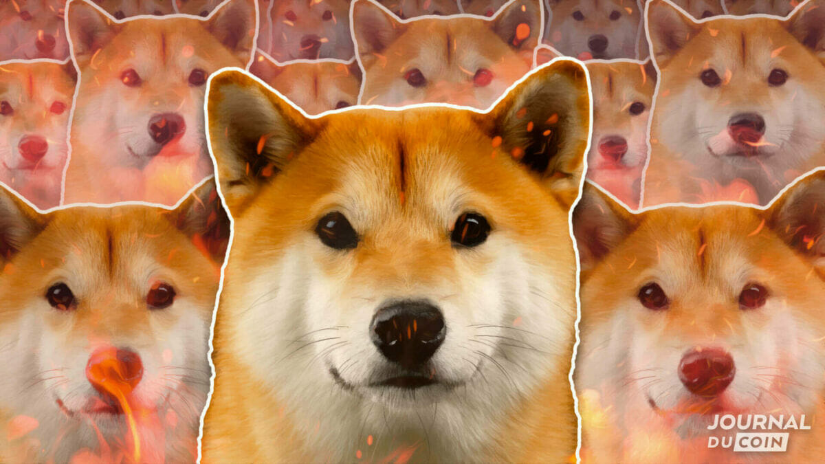 Memecoin : Un HODLer de Shiba Inu (SHIB) transforme 2700 $ en 1,2 million de dollars