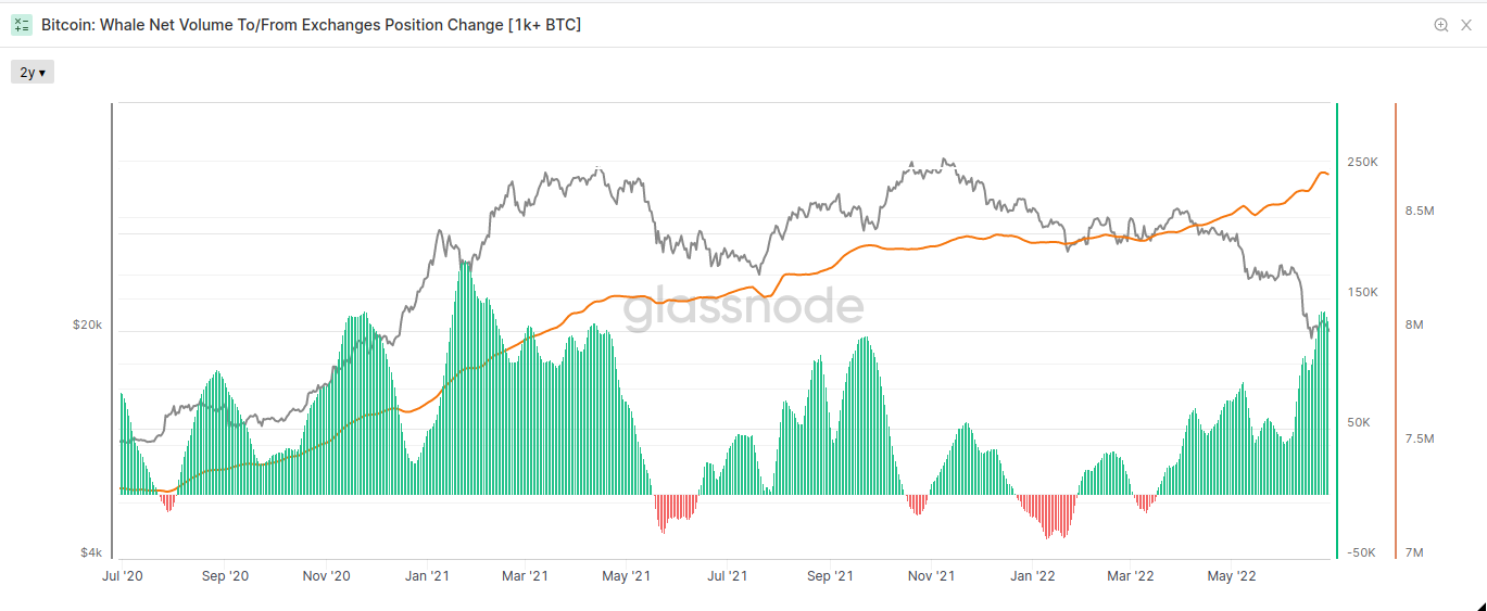 Cours du Bitcoin : accumulation des HODlers