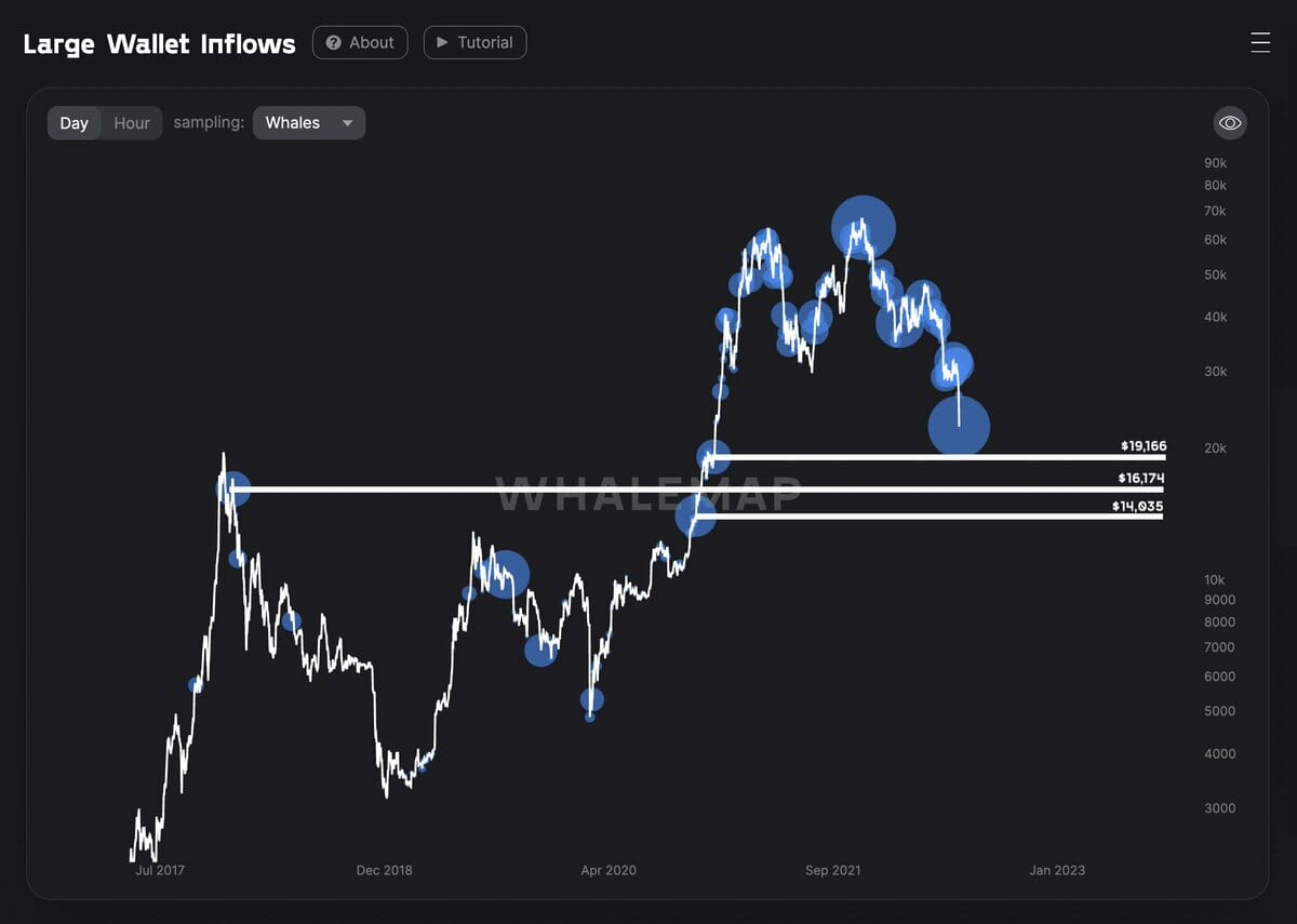 Cours du Bitcoin : les supports clés formés par les baleines BTC