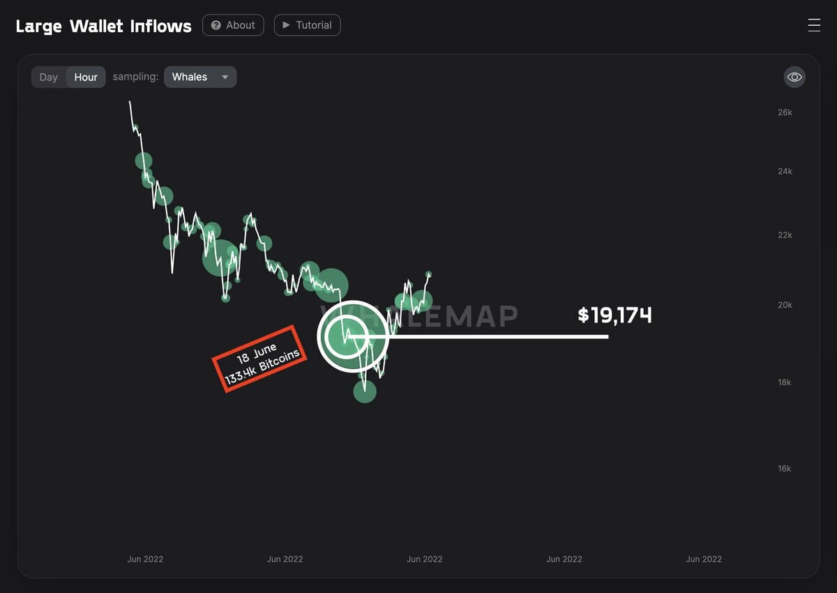 Prix du Bitcoin : nouveau support majeur aux 19 174 $