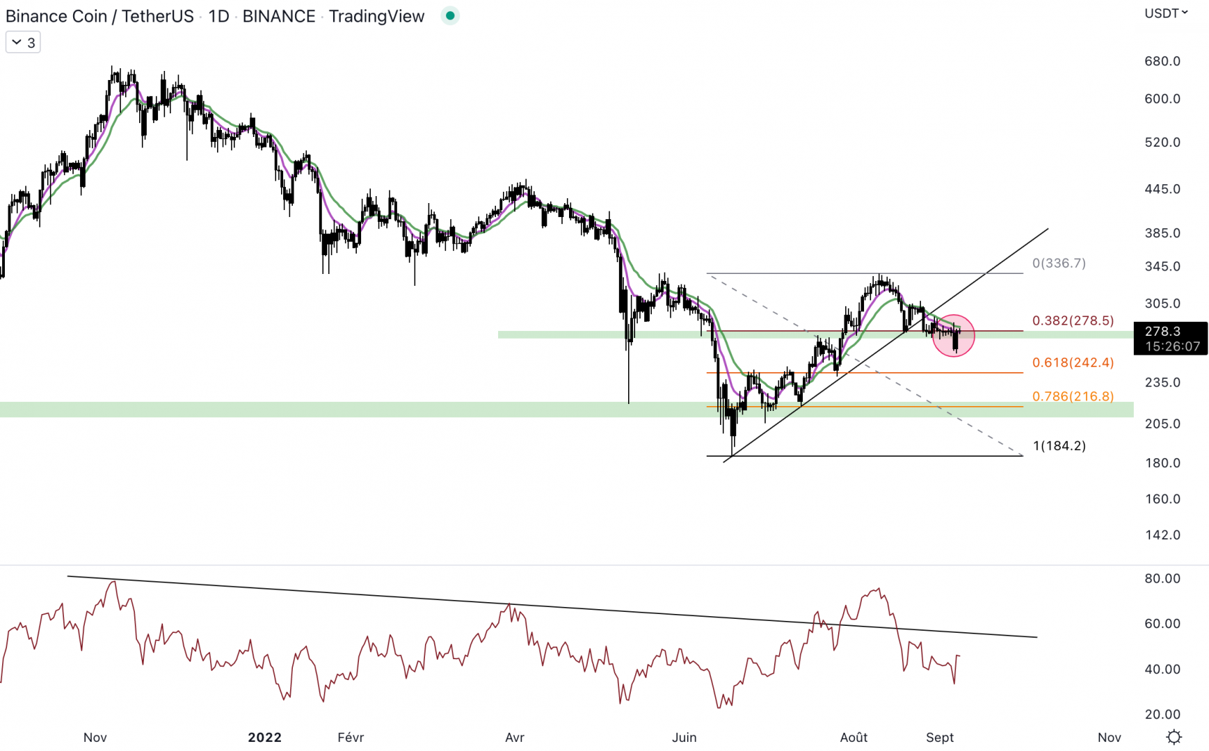 Le Binance Coin pourrait rejoindre 215 $ si les acheteurs ne défendent pas le support. 