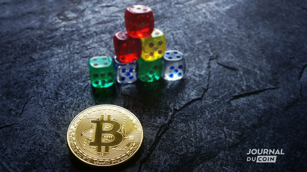 Le Ponzi pour les nuls - Il dérobe 100 000 $… pour éduquer les crypto-investisseurs  - Journal du Coin