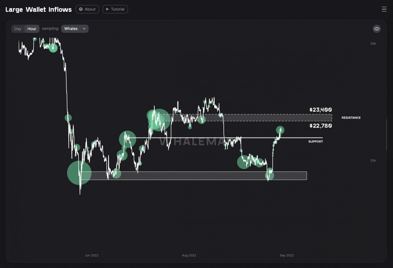 BTC USD : nouvelle résistance selon la concentration des baleines