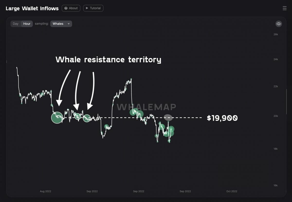 BTC USD : résistance des baleines aux 19 900 $