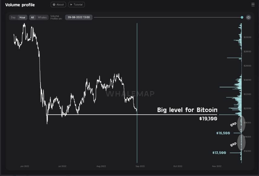 Cours du Bitcoin : les supports des baleines