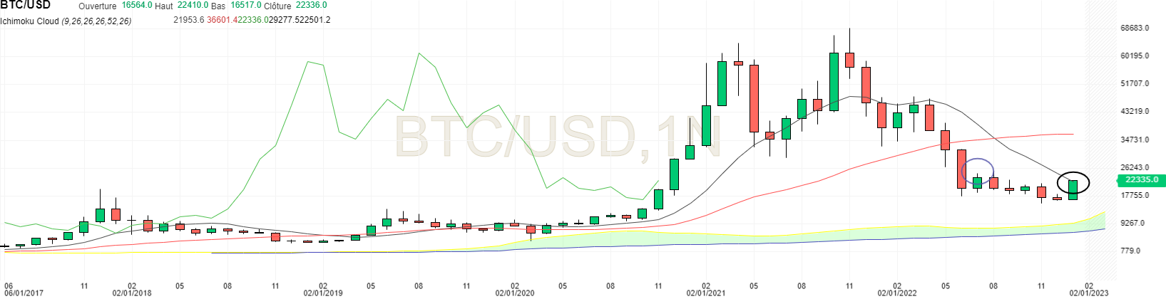 BTC USD en unité mensuelle