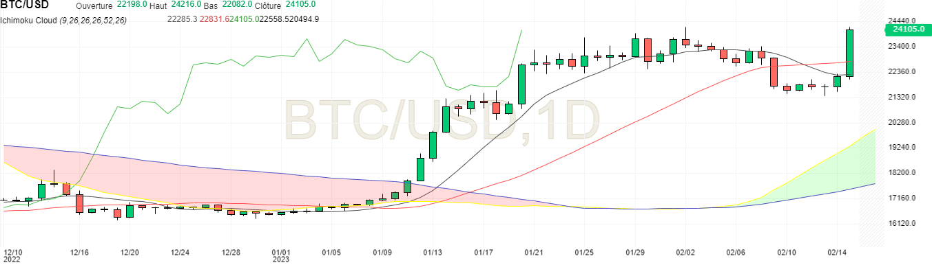 BTC USD en unité journalière