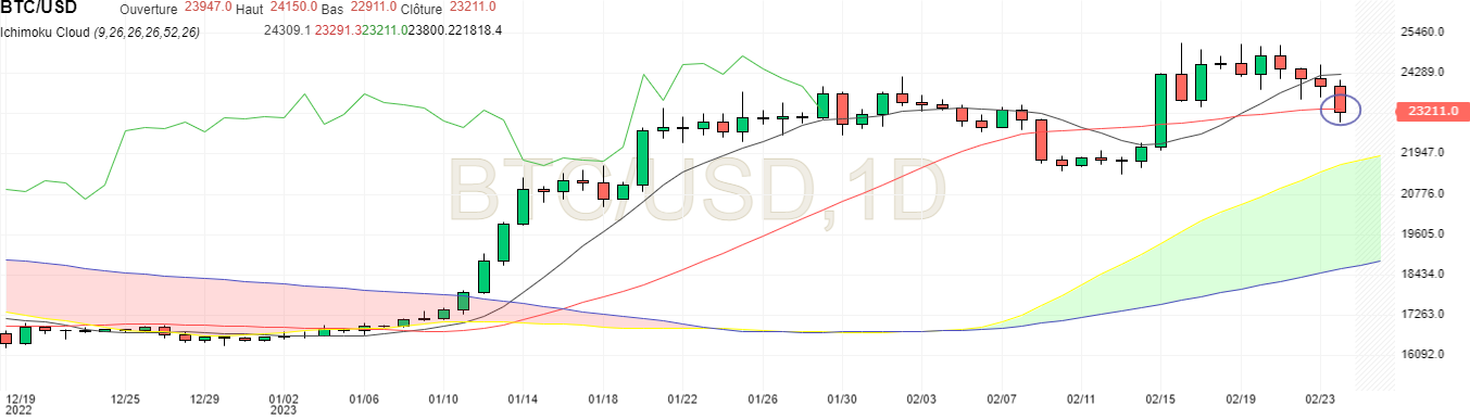 BTC USD en unité journalière