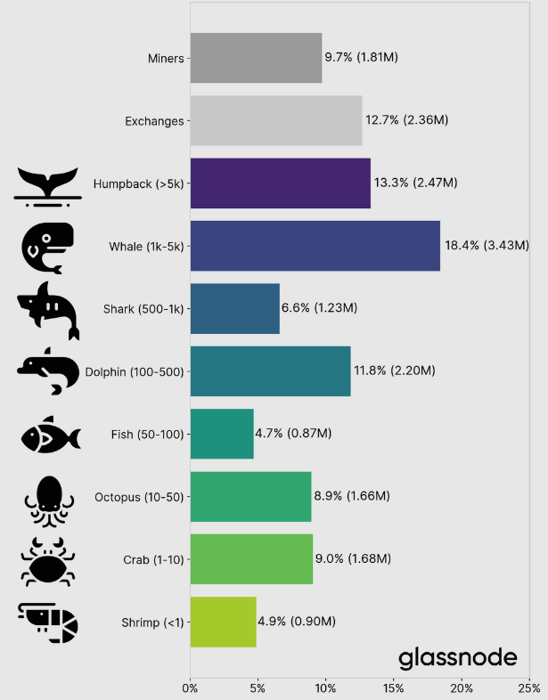 Glassnode et les observateurs se sont amusés à donner un petit nom d'animal marin aux personnes qui possèdent des bitcoins. Cela va de la crevette avec moins d'1 bitcoin à la baleine à bosse ou méga-baleine avec plus de 5000 unités. Et vous, quel animal êtes-vous ? 