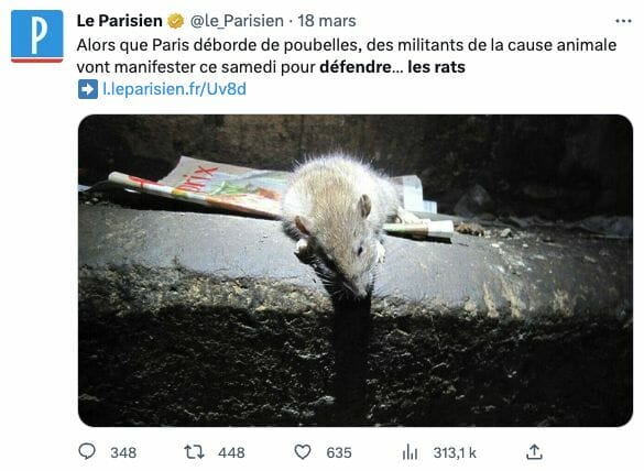 Des manifestations pour la protection des rats d’égouts s’organisen