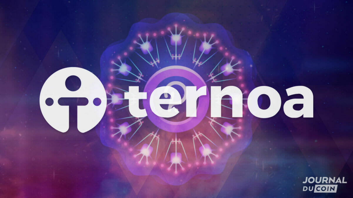 Ternoa se met à la DeFi : les smart contracts arrivent sur le betanet