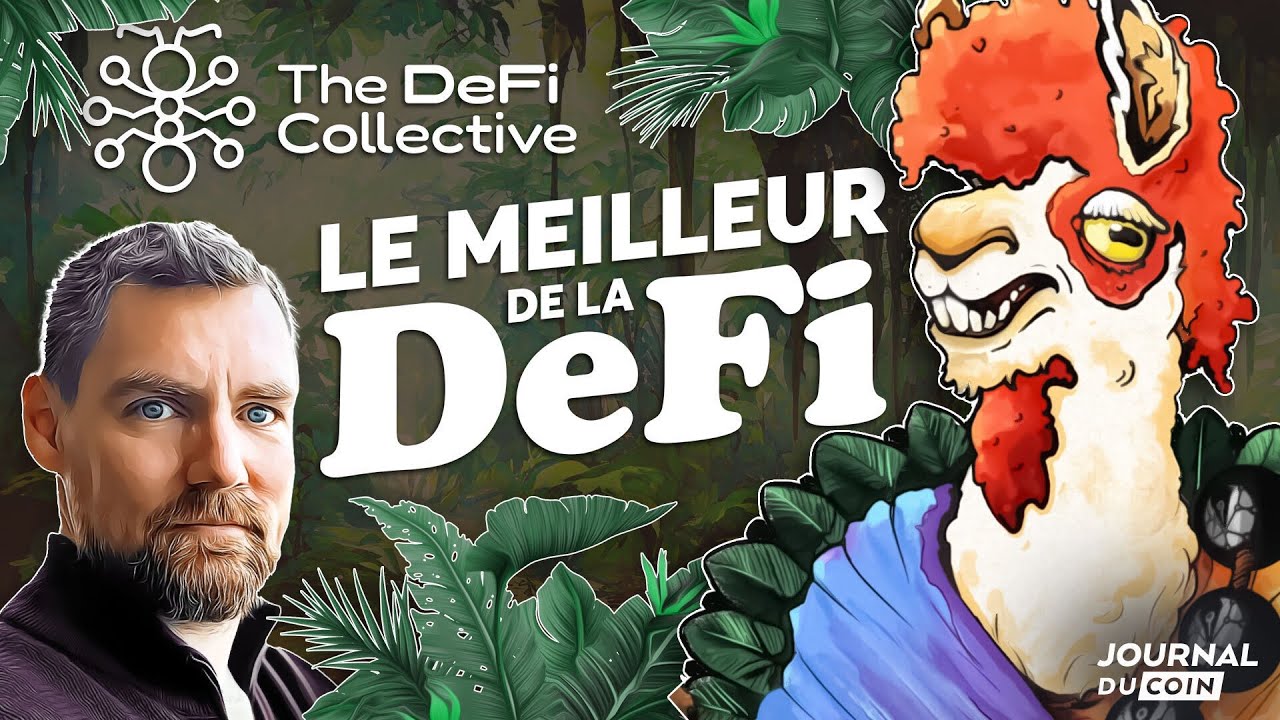 The DeFi Collective, le meilleur de la DeFi avec Token Brice