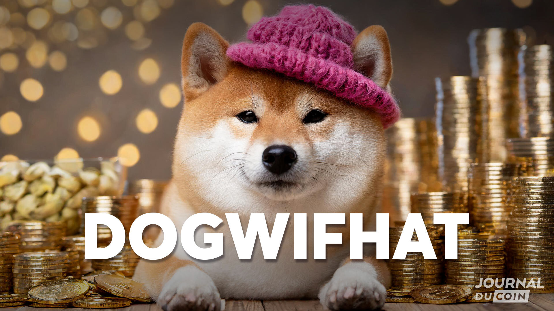 Dogwifhat (WIF) atomise le marché des memecoins depuis son listing sur  Robinhood - Journal du Coin
