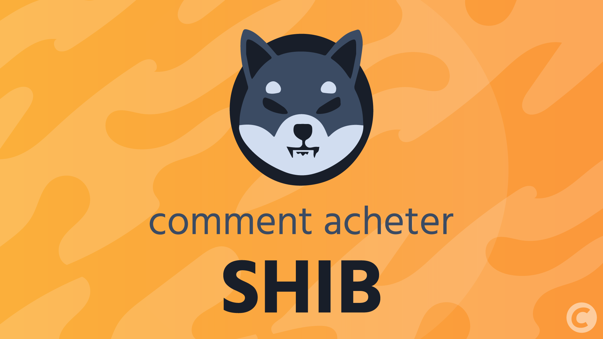 Comment acheter Shiba Inu (SHIB) ? Guide 2026 des meilleurs sites